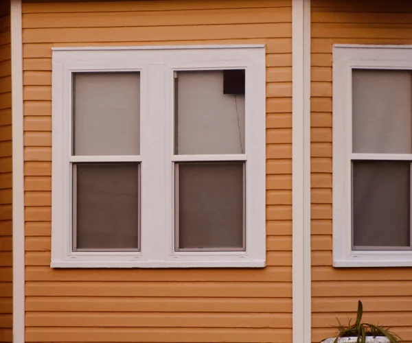 minimal-windows-and-home-architectural-design-2024-12-06-04-13-02-utc